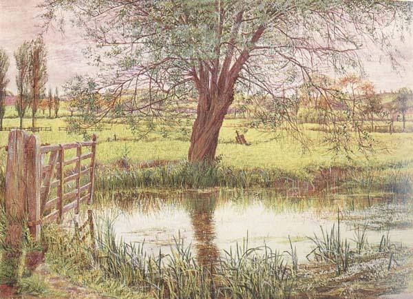 William Bell Scott Landscape with a Gate and Watermeadow (mk46) Norge oil painting art